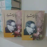 دیوان شهریار دوره دو جلدی