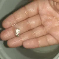 کالر ویدو سفید|ماهی|دزفول, |دیوار