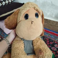 عروسک|اسباب‌بازی بچه|اندیمشک, |دیوار