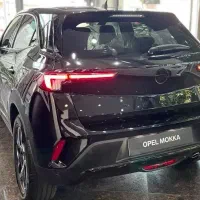 اپل موکا 202خشک و صفر پلاک شده