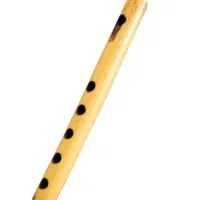 فروش نی