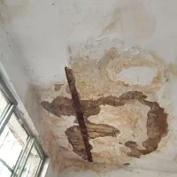 گچ کاری و خورده کاری و گچ کار و گچکاری