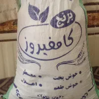 برنج کامفیروزی