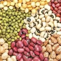 انواع لوبیا و لپه تمیز و بسته بندی شده