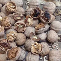 گردو  کیلوی۲۳۰