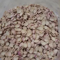 لپه لوبیا چیتی