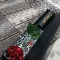 کادویی|صنایع دستی و سایر لوازم تزئینی|پیشوا, |دیوار