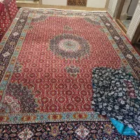 فرش|فرش|زاهدان, |دیوار