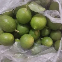 لیموترش