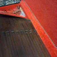 سنتور قدیمی|سازهای سنتی|شاهین‌شهر, دکتر حسابی|دیوار