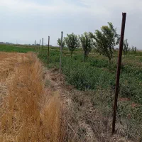 باسلام یک باب باغ در واقی روستای علی بلاغی|فروش زمین و ملک کلنگی|نمین, |دیوار