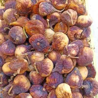 انجیر|خوردنی و آشامیدنی|شیراز, شریف‌آباد|دیوار