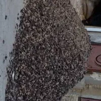 مصالح ساختمانی سیار|مصالح و تجهیزات ساختمان|شادگان, |دیوار