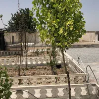 ۵۵۰ متر باغچه چهاریواری شهرک بنام و قدیمی در بکه|فروش خانه و ویلا|شهریار, بکه|دیوار