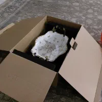 ظرف پذیرایی نو