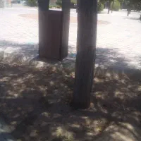 طبیعت گردی و کمپینگ