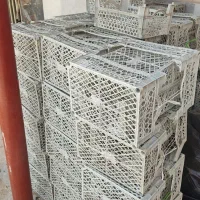 سبد میوه