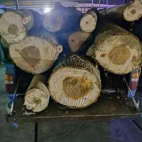 چوب بری و درخت بری