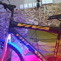 دوچرخه ۲۴ ویوا|دوچرخه، اسکیت، اسکوتر|رشت, رودبارتان|دیوار