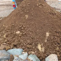 کود حیوانی
