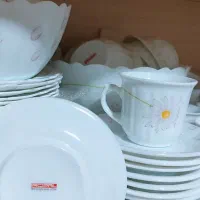 سرویس آرکوپال|ظروف سرو و پذیرایی|اهواز, سپیدار|دیوار