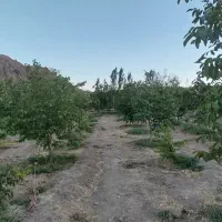 باغ-ویلا
