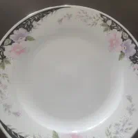 ظروف چینی