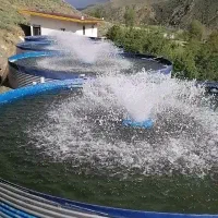 ماهی قزل آلا ازمزرعه به آشپزخانه/فروش خانگی/صیدروز