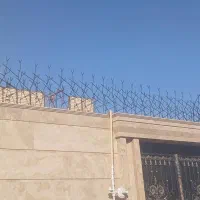 حفاظ شاخ گوزنی (بوته ای) روی دیوار منازل|مصالح و تجهیزات ساختمان|رفسنجان, |دیوار