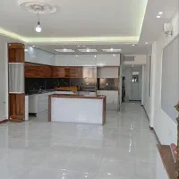 ملک شیک فروشی