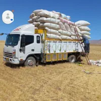 کاه ویونجه درجه یک عمده