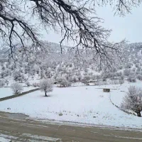 پروژه-گردشگری-و-رستوران-مشارکت-یاسوج