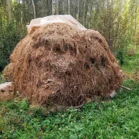 فروش علوفه در روستای نظرآباد