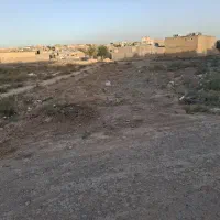 فروش زمین ۱۷۷ متری در داروپخش|فروش زمین و ملک کلنگی|تربتحیدریه, داروپخش|دیوار