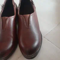 کفش|کیف، کفش، کمربند|بیرجند, |دیوار