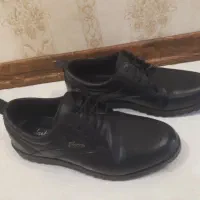 کفش مردانه سایز۴۴