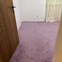 (پالاز موکت)