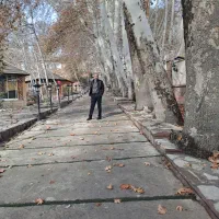 کارهایی باغبانی گل کاری هرس چمن