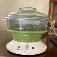 بخار پز تفال