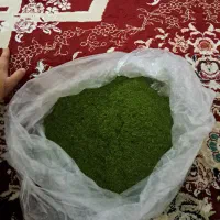 شوید|خوردنی و آشامیدنی|بروجرد, |دیوار