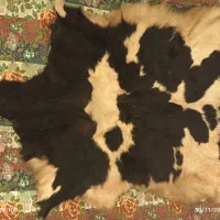 فروش پوست طبیعی طبی و زینتی