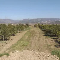 موقعیت خوب در شهر ساری (هولار)|فروش زمین و ملک کلنگی|پایین هولار, |دیوار