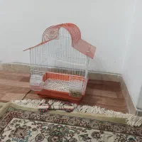 قفس همراه جای آب و غذا و تاب