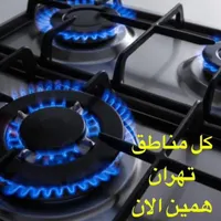 تعمیرکار تعمیرات ساید یخچال پکیج اجاق گاز لباسشویی|خدمات پیشه و مهارت|تهران, استاد معین|دیوار