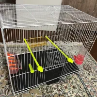 قفس پرنده|لوازم جانبی حیوانات|مشهد, امیریه|دیوار