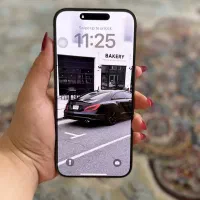 آیفون 16 پرو مکس 256