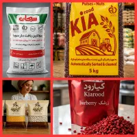 استخدام ویزیتور بومی سقز