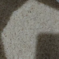 فروش برنج|خوردنی و آشامیدنی|کلاله, |دیوار