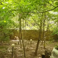 باغ-باشکوه-دماوند-قلب-روح-افزا