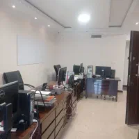 نیروی دورکاری و دایرکتر